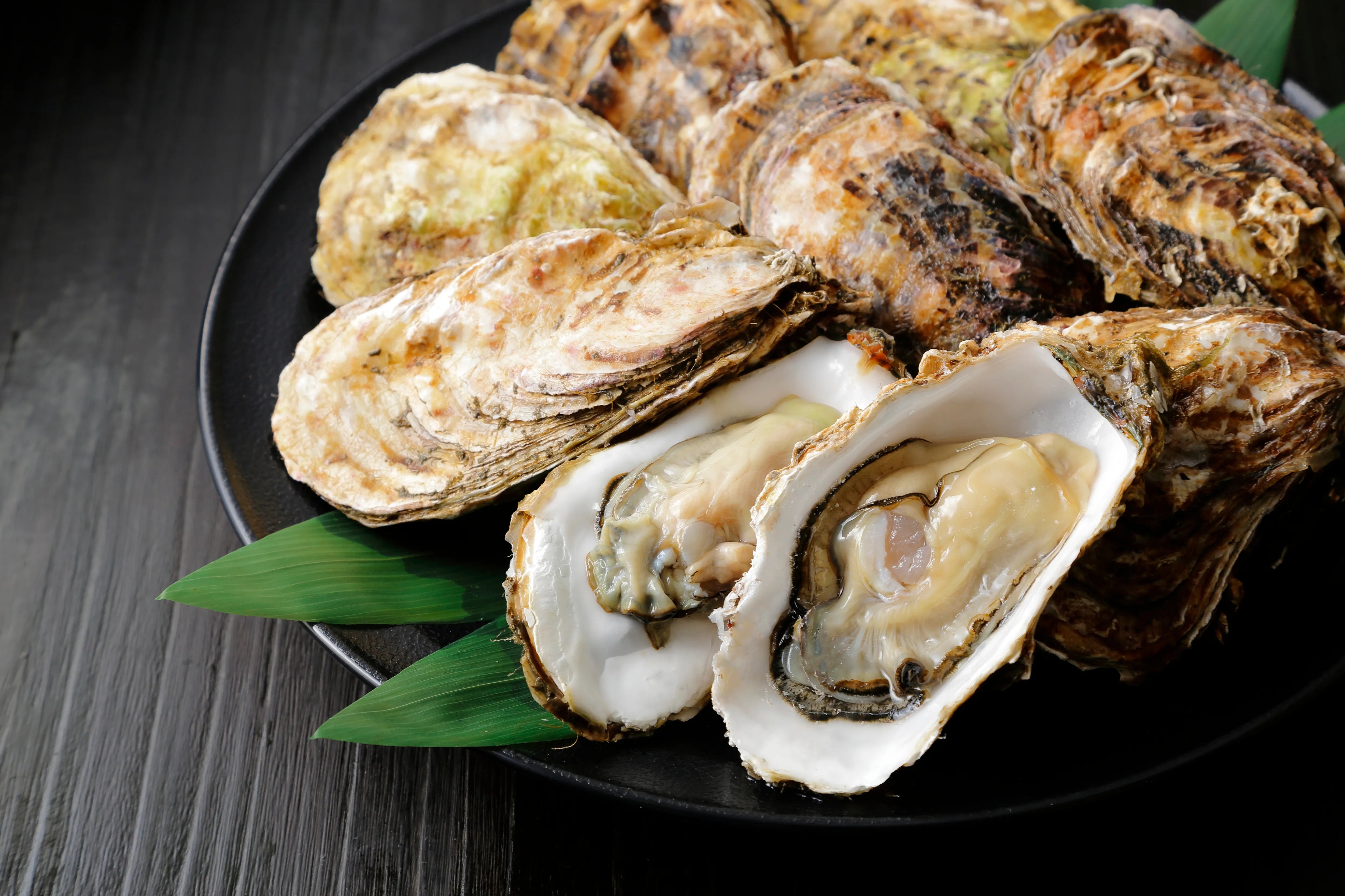 牡蠣 – 和の食