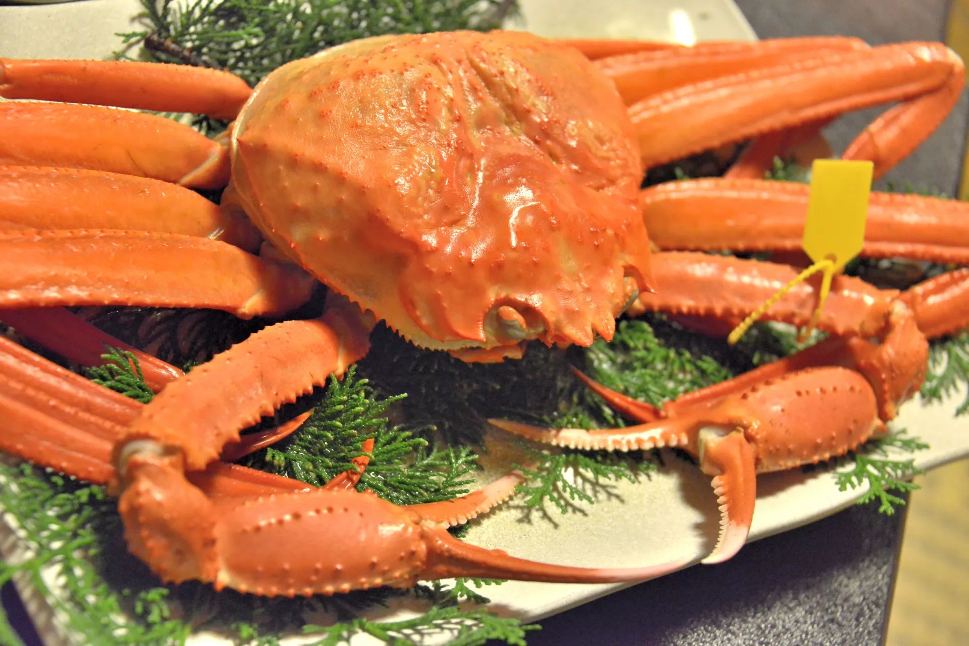 蟹 – 和の食